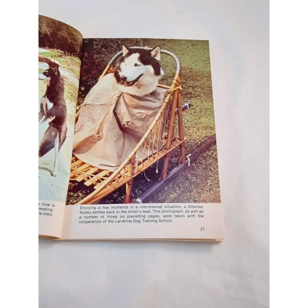 How to Raise and Train‎ a Siberian Husky Paperback Lorna B. Demido 1983